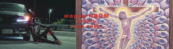 ГАЛЛЮЦИНОГЕННЫЕ ГРИБЫ Гусиноозёрск