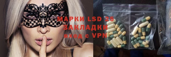 ГАЛЛЮЦИНОГЕННЫЕ ГРИБЫ Гусиноозёрск