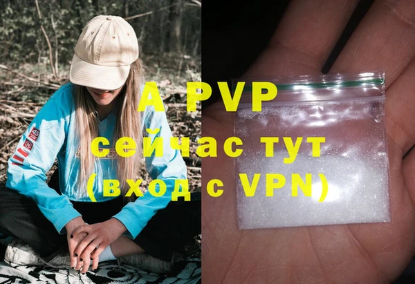 ГАЛЛЮЦИНОГЕННЫЕ ГРИБЫ Гусиноозёрск