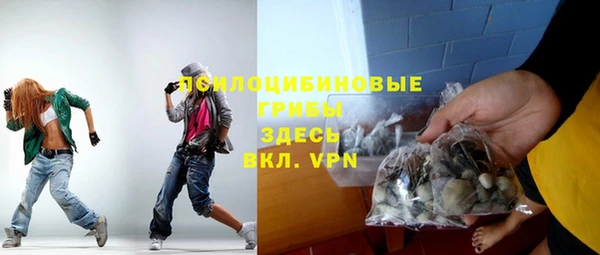 ешки Гусев
