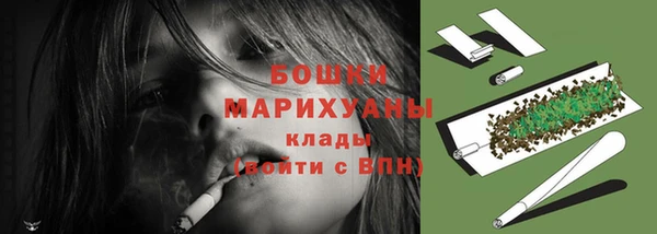 ешки Гусев