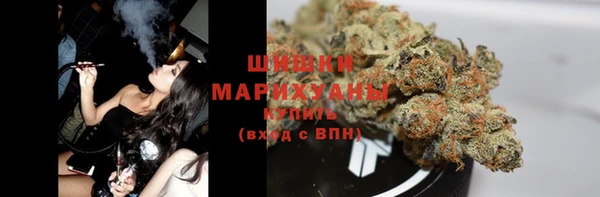 ешки Гусев