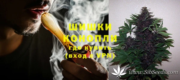 ешки Гусев