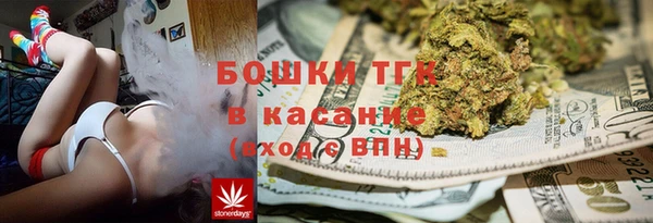 ешки Гусев