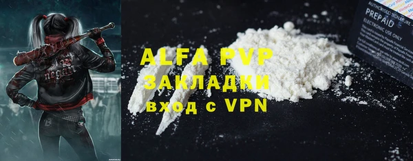 ешки Гусев