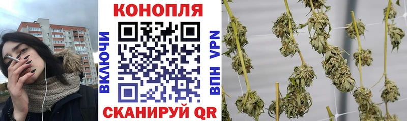 Купить закладки  Бирюсинск  Бошки марихуана OG Kush 